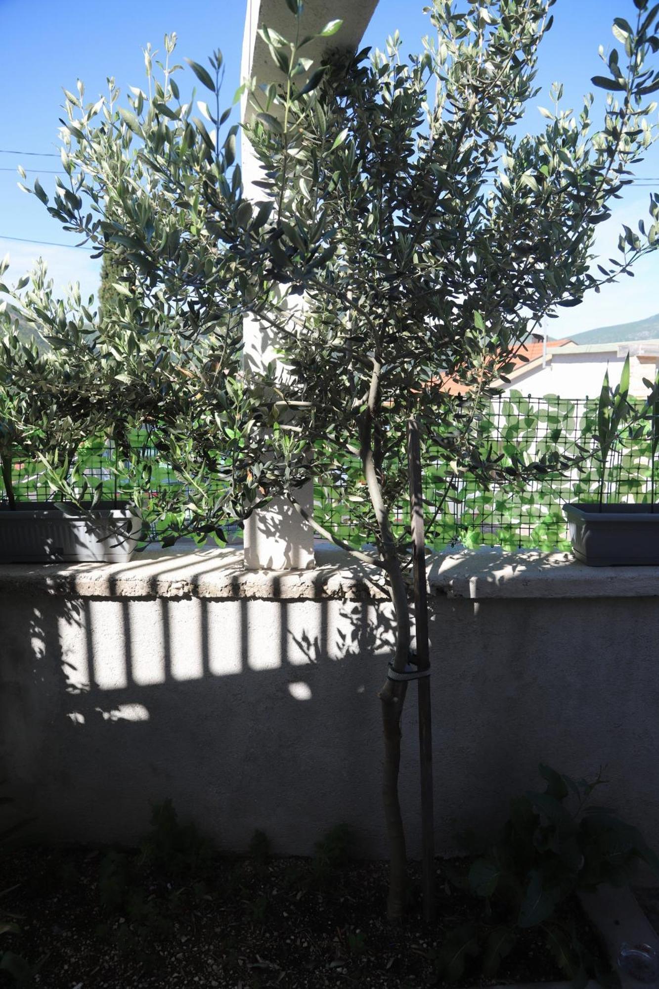 Apartman Hadze Mostar Zewnętrze zdjęcie